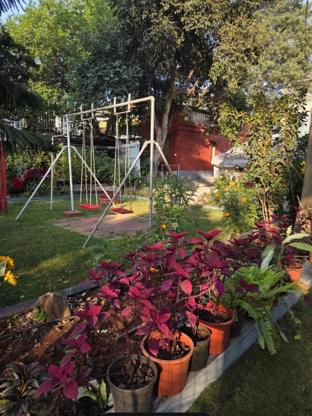 Swings, trees and flowerbeds in the clinic garden