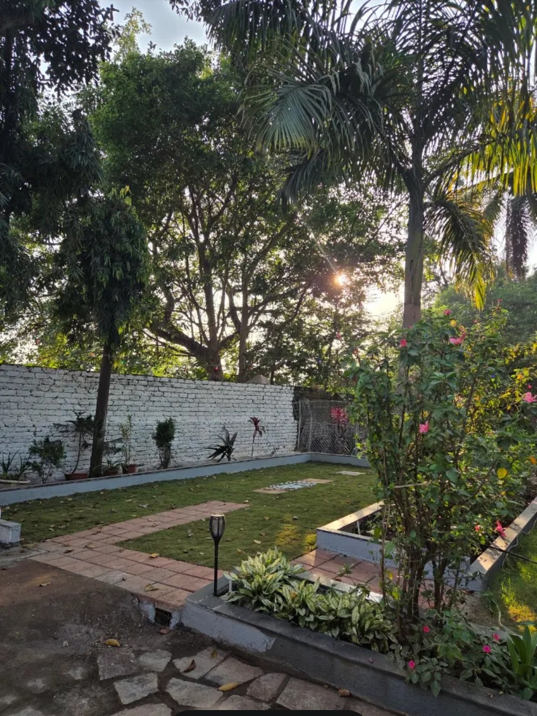 A path beside the clinic lawn, surrounded by trees and plants